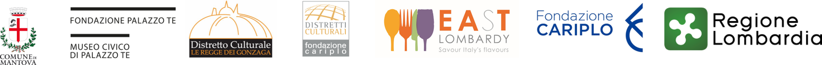 fascia loghi